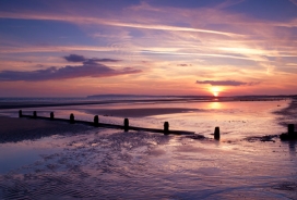 gallery_big24